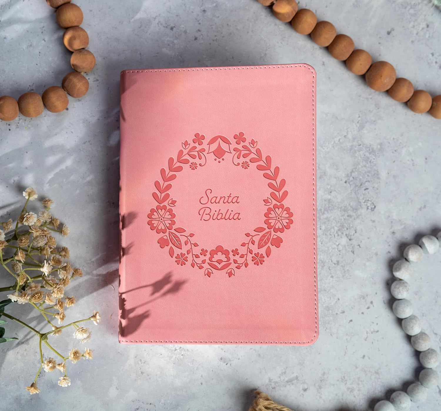 Biblia Reina Valera 1960